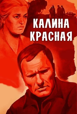 Калина красная 1973