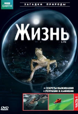 BBC: Жизнь 2009